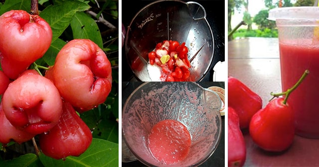 How to Make Rose Apple Juice to Detoxify your Liver, Fight Diabetes Symptoms, Lower the Risk of Breast Cancer and Other Health Related Problems